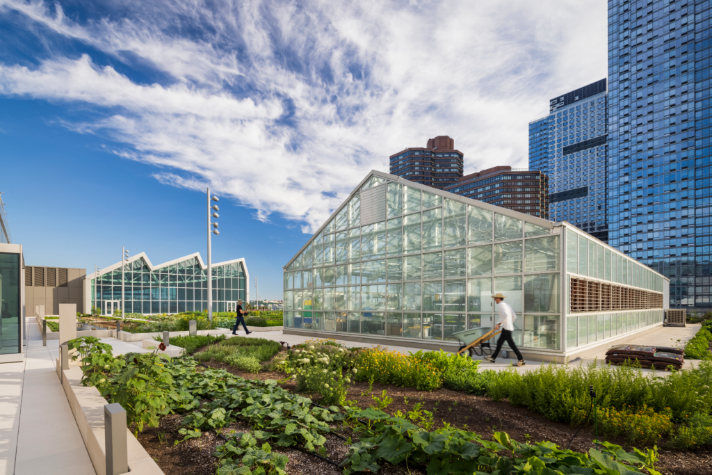 A farm and greenhouse on the roof of the Javits Convention Center