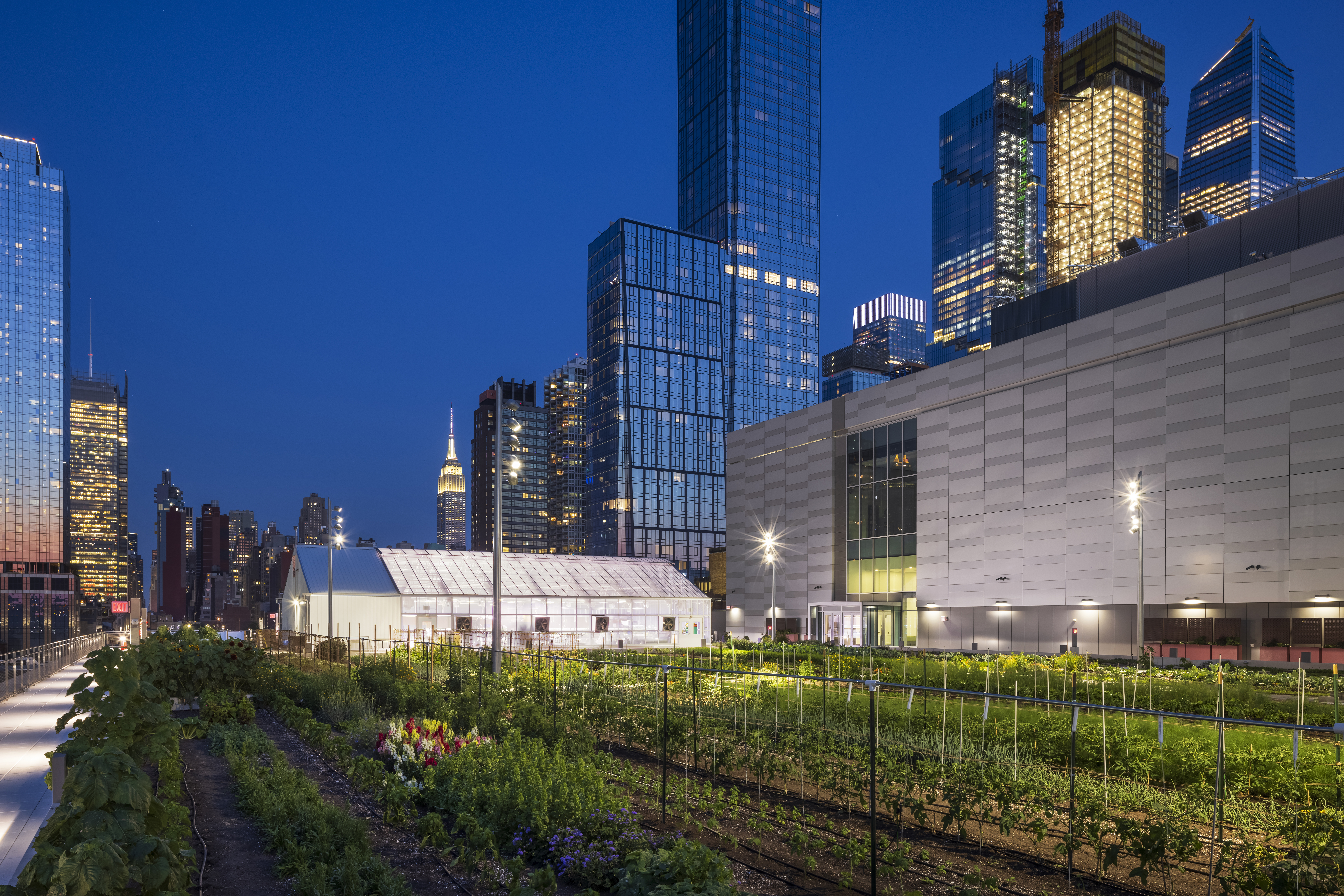 A photograph of the rooftop farm at Javits Center in New York City. 